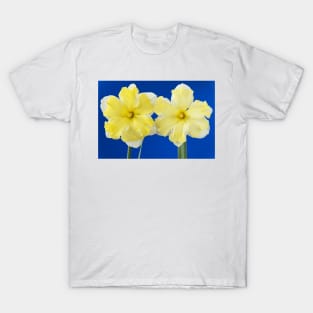 Narcissus  &#39;Cassata&#39;  Daffodil  Division 11a Split-corona: Collar T-Shirt